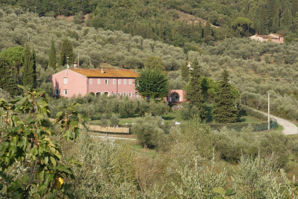 B & B San Jacopo Santomato Kültér fotó